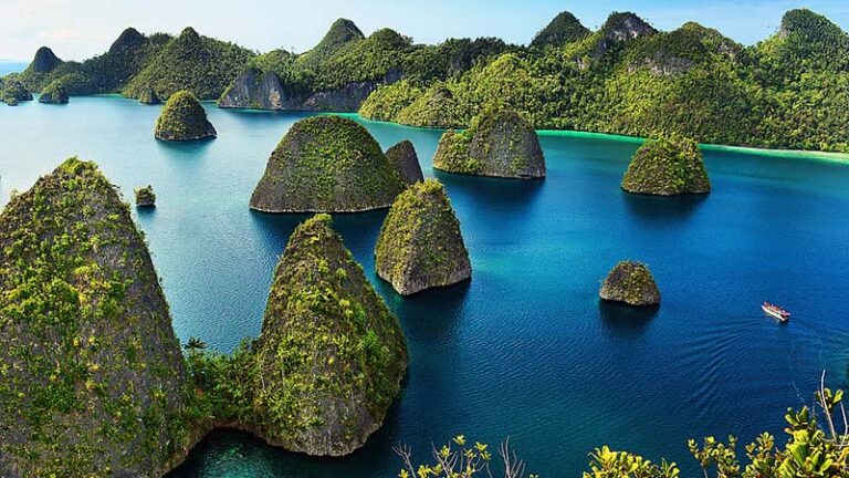 Komitmen Pemerintah Menjaga Keseimbangan Ekologis dan Investasi di Raja Ampat