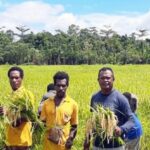 Pembangunan Infrastruktur dan Pertanian Modern Jadi Momentum Kebangkitan Ekonomi Papua